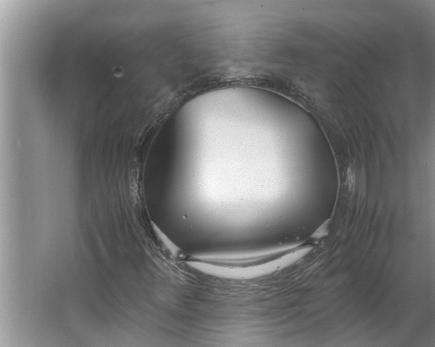 X0000062901348200601271703