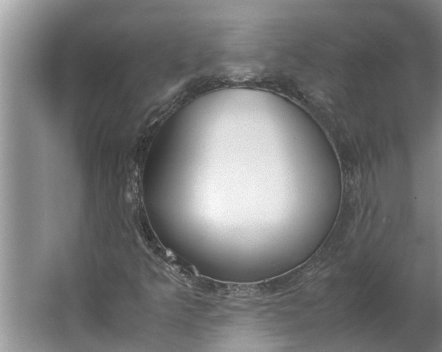 X0000062901349200601271703