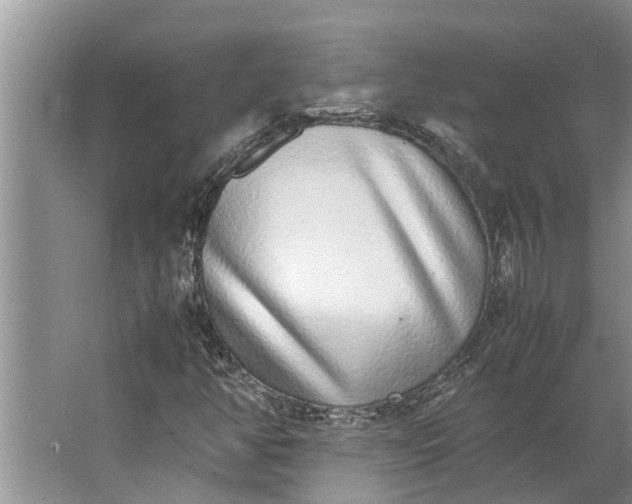 X0000062901350200601271703