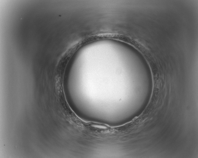 X0000062901351200601271703