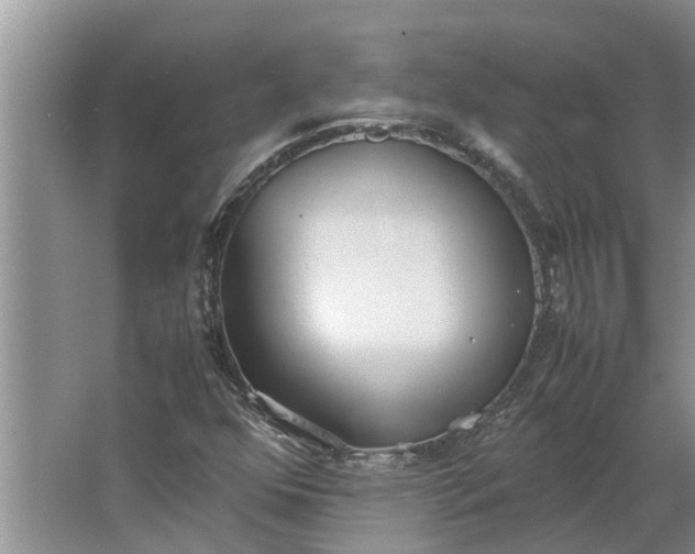 X0000062901352200601271703