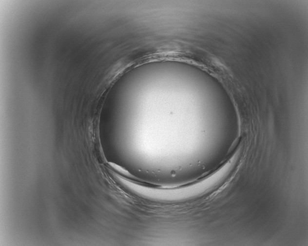 X0000062901353200601271703