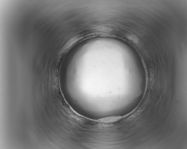 X0000062901354200601271703