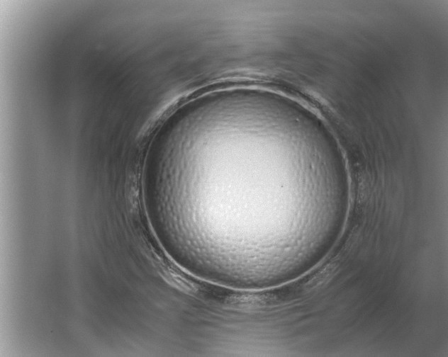 X0000062901355200601271703