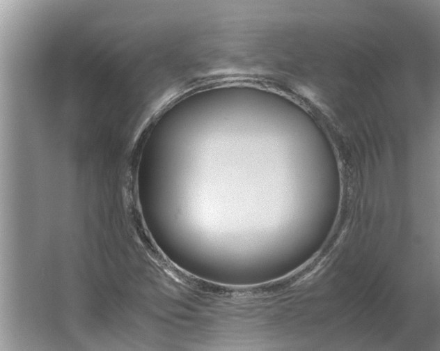 X0000062901357200601271703