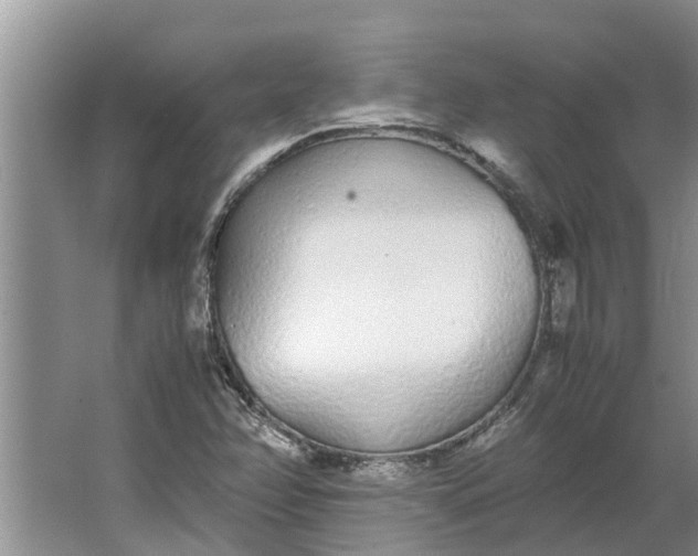 X0000062901358200601271703