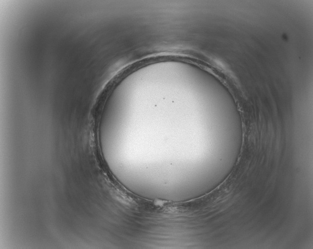 X0000062901360200601271703