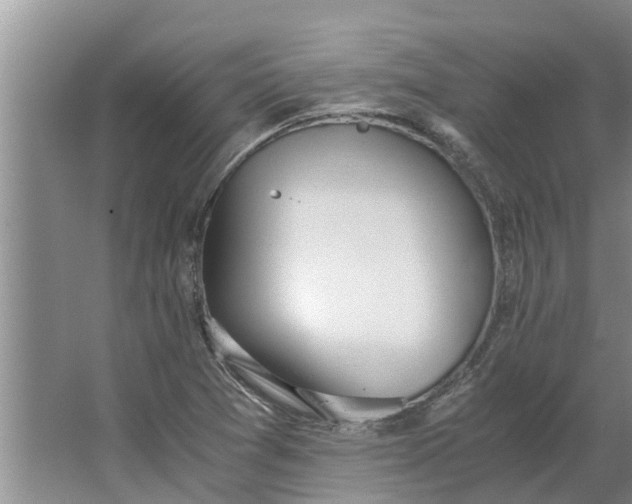 X0000062901361200601271703