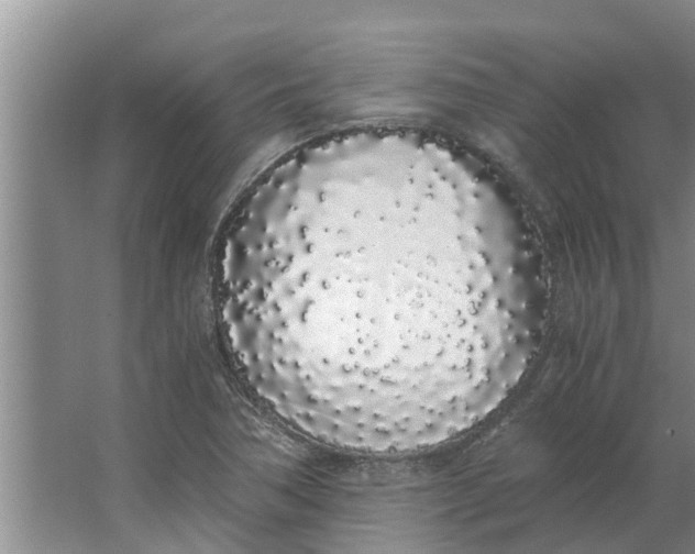 X0000062901362200601271703