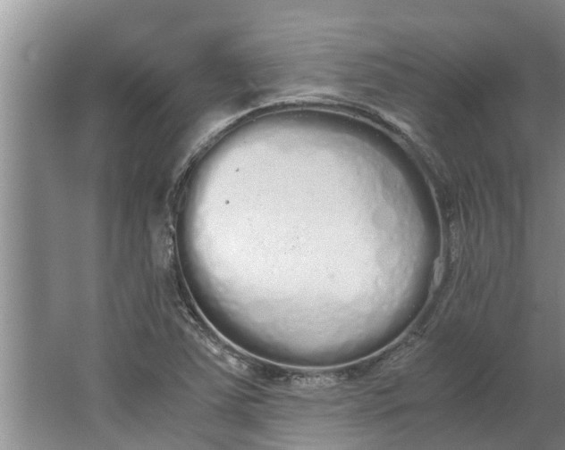 X0000062901363200601271702