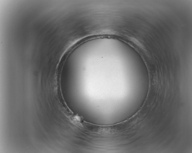 X0000062901364200601271702