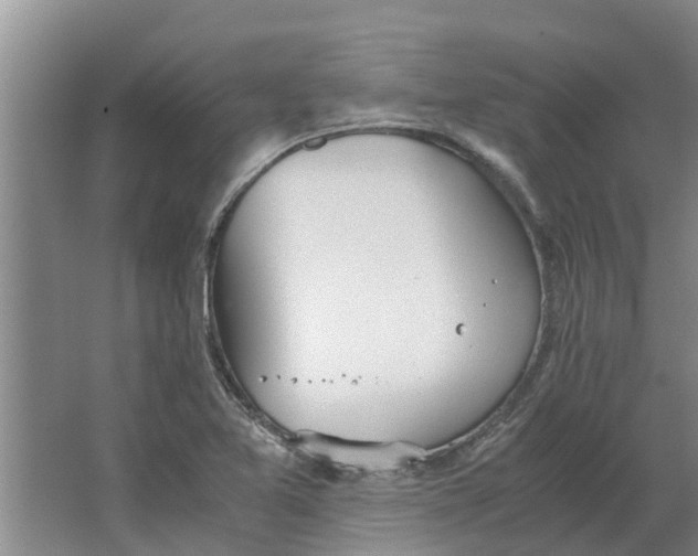 X0000062901365200601271702