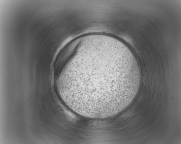 X0000062901366200601271702