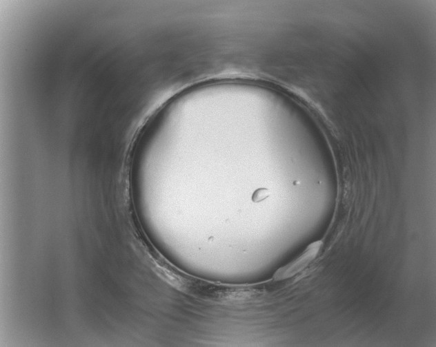 X0000062901367200601271702