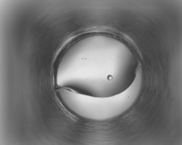 X0000062901368200601271702