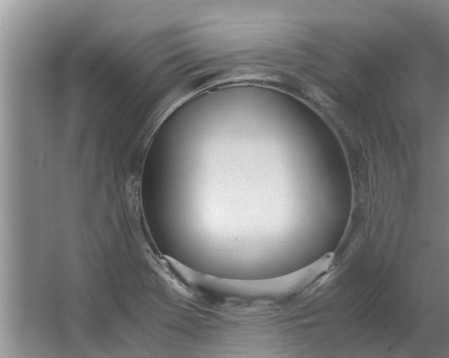 X0000062901369200601271702