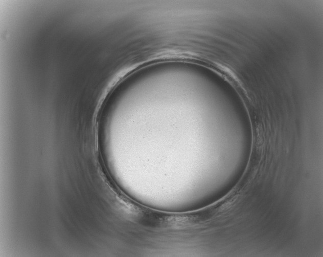 X0000062901371200601271702