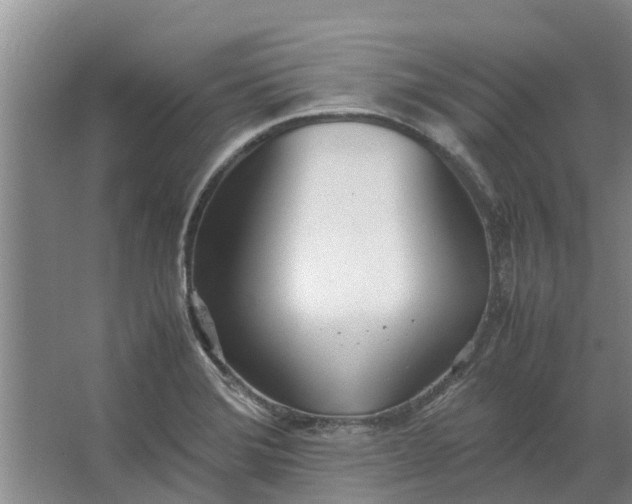 X0000062901372200601271702