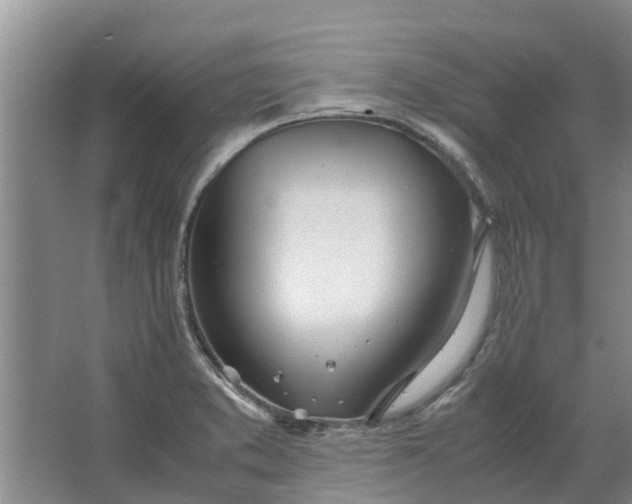 X0000062901373200601271702