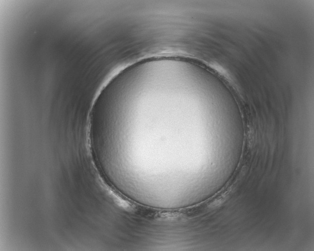 X0000062901374200601271702