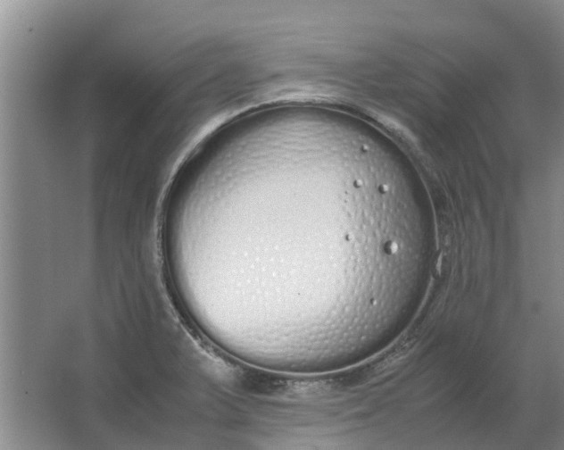 X0000062901375200601271702