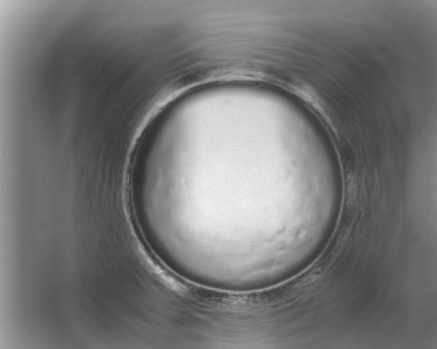 X0000062901379200601271702