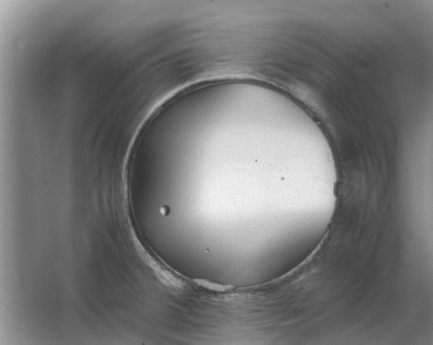 X0000062901380200601271702