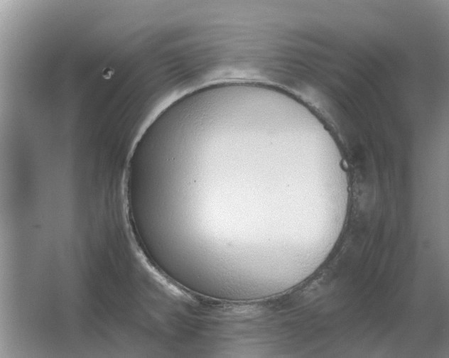 X0000062901382200601271702