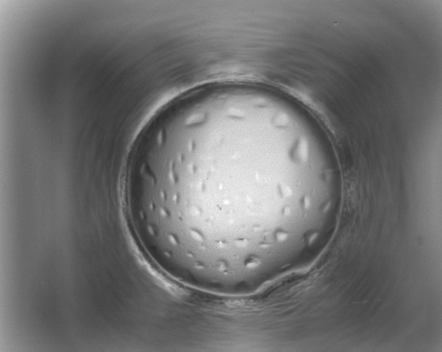 X0000062901383200601271702