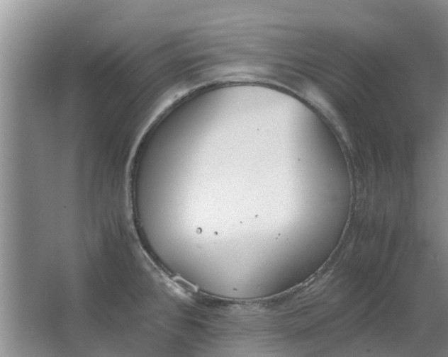 X0000062901384200601271702