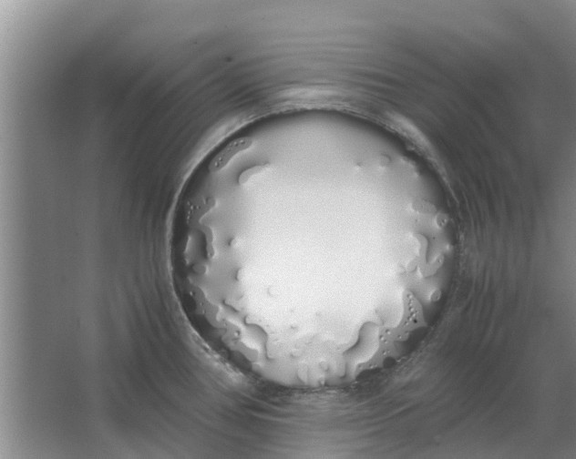 X0000062901386200601271702