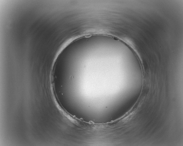 X0000062901389200601271702