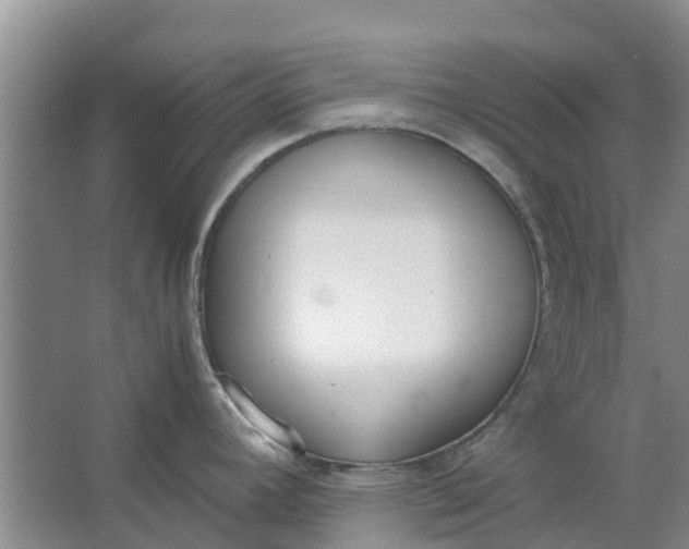 X0000062901392200601271702