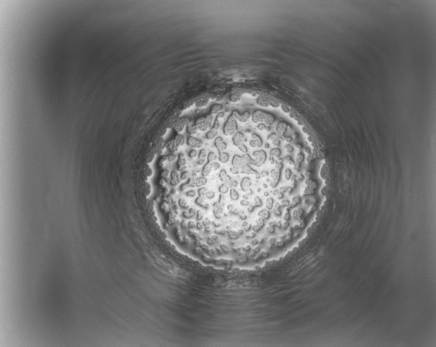 X0000062901393200601271701