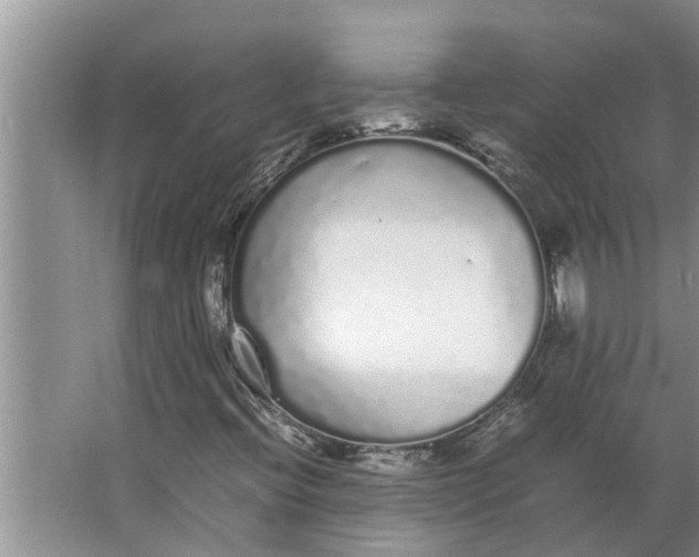 X0000062901396200601271701