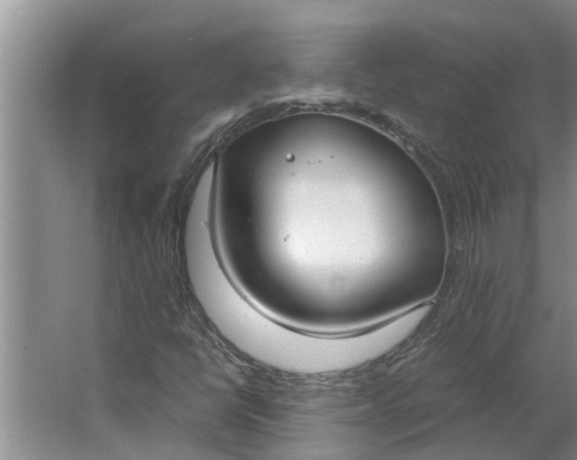 X0000062901398200601271701