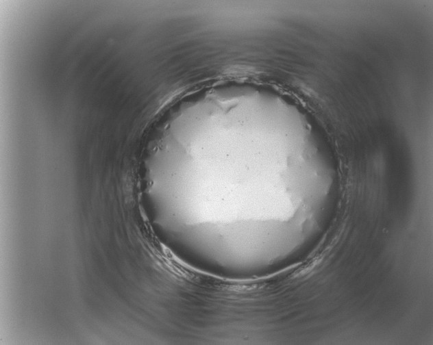 X0000062901401200601271701