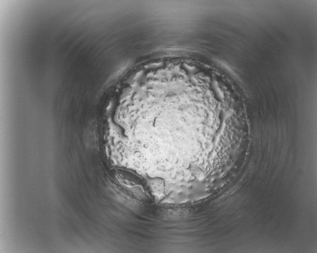 X0000062901403200601271701