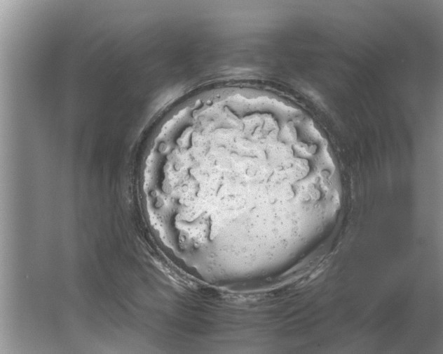 X0000062901405200601271701