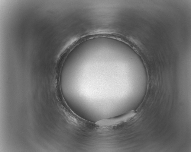 X0000062901406200601271701