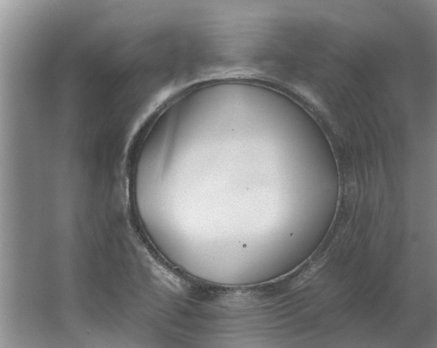 X0000062901414200601271702