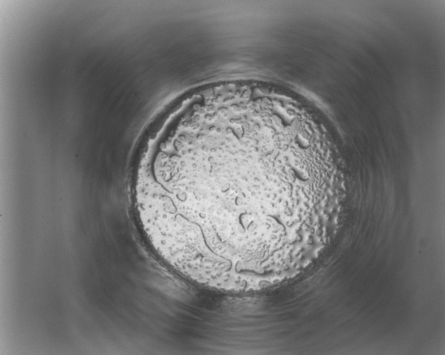 X0000062901415200601271702