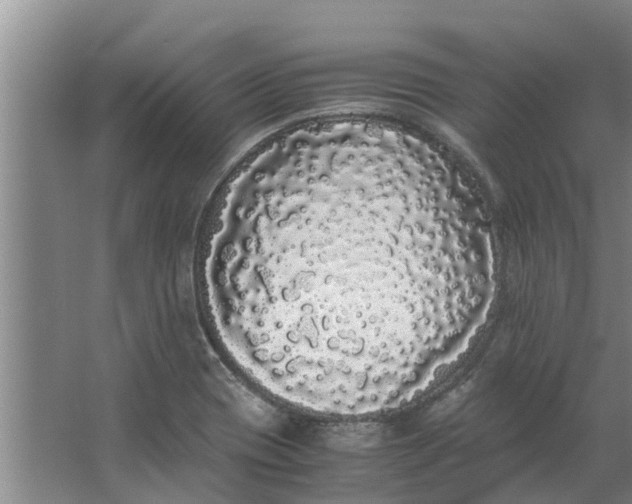 X0000062901417200601271702