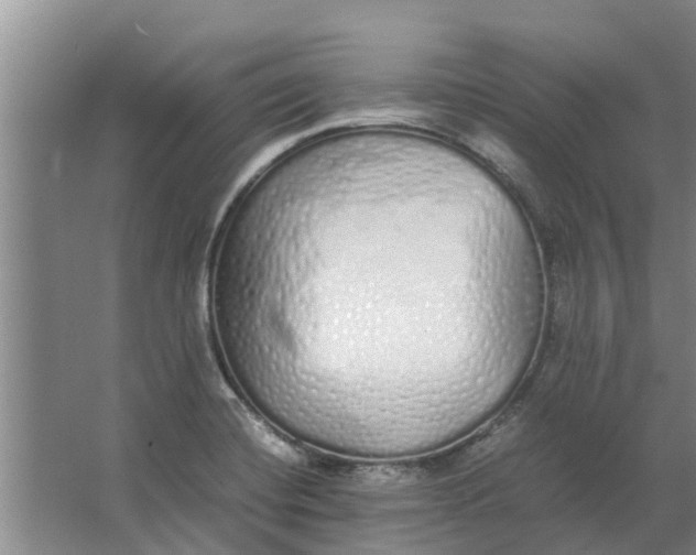 X0000062901420200601271702