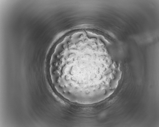 X0000062901421200601271702