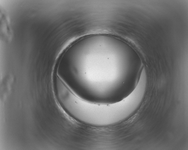 X0000062901422200601271702