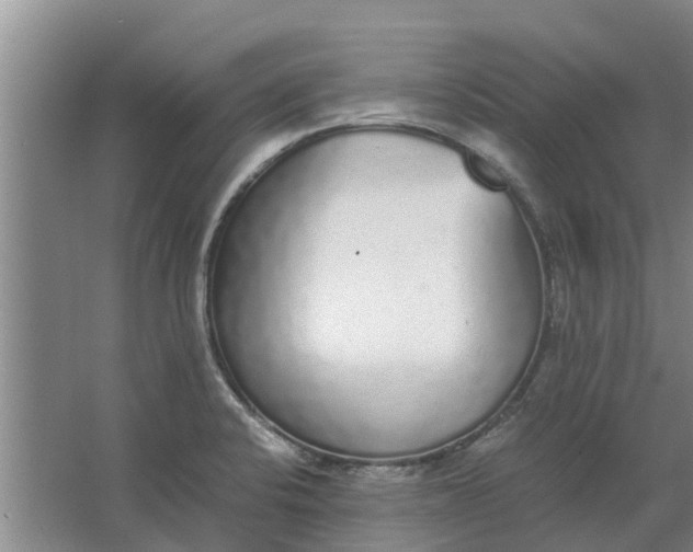 X0000062901424200601271702