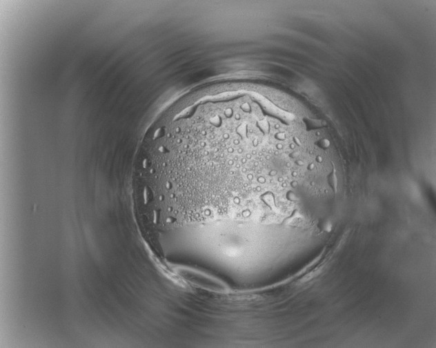 X0000062901425200601271702