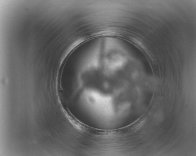 X0000062901426200601271702