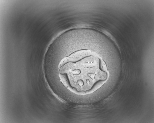 X0000062901429200601271702